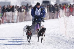 Lenk 2013